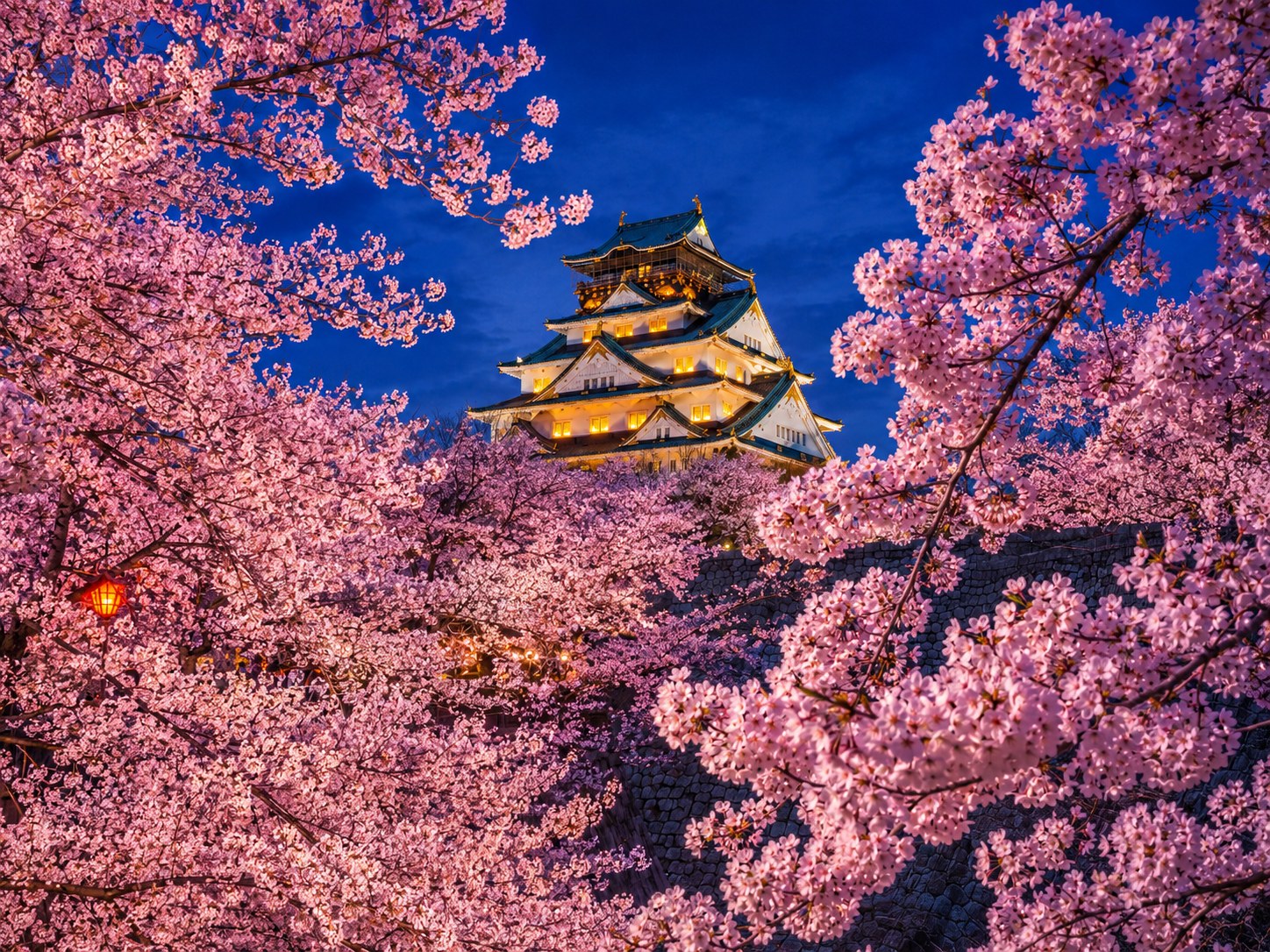 A Japanese castle silhouetted against twilight sky, surrounded by blooming cherry blossom trees lit softly from below, with petals drifting in the dusk air.