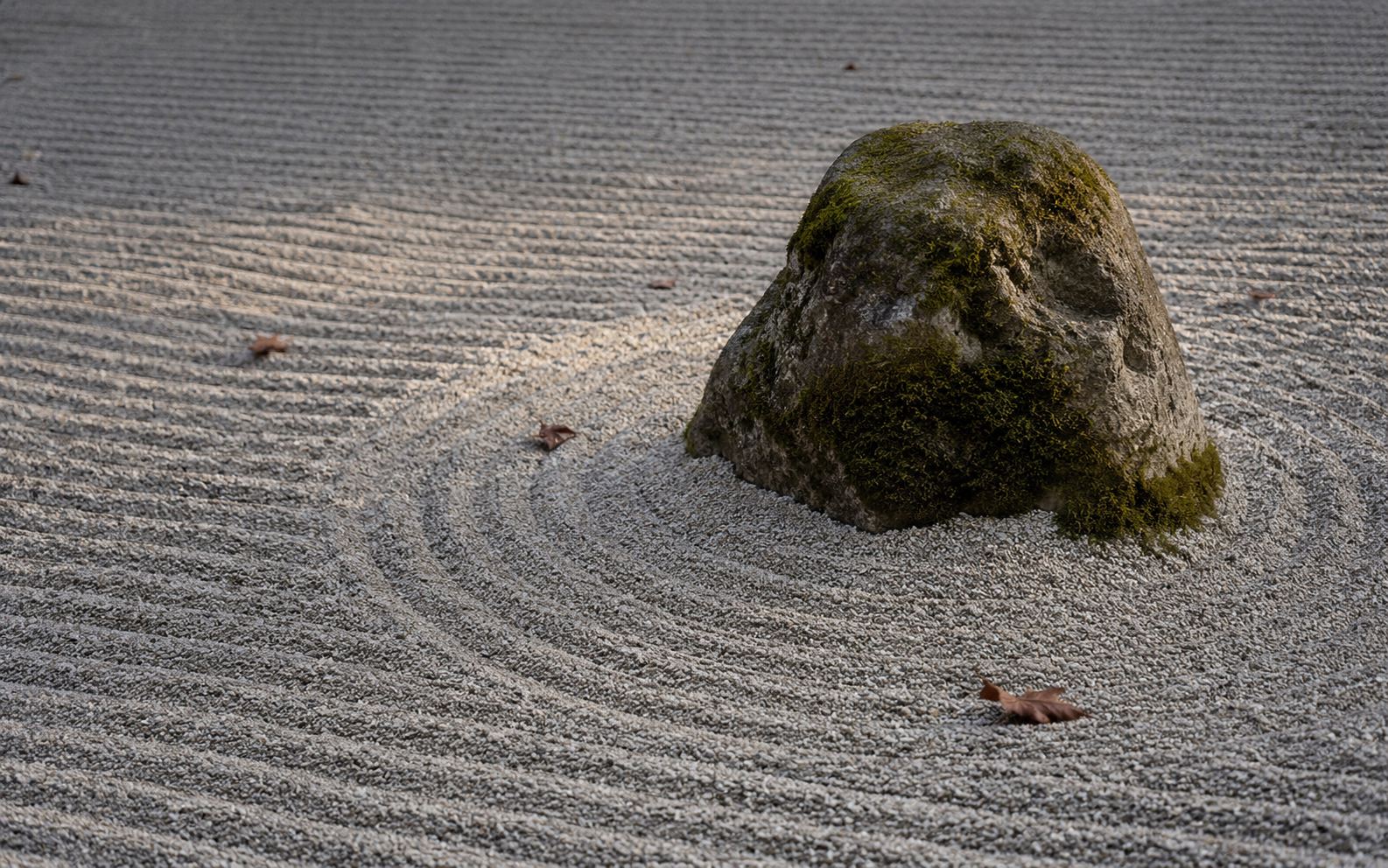 A Japanese karesansui dry garden viewed from a temple veranda: a few weathered mossy stones set in a wide field of pale gravel raked into straight lines and concentric ripples around the rocks, bare earthen wall behind, soft natural light — emptiness as the subject.